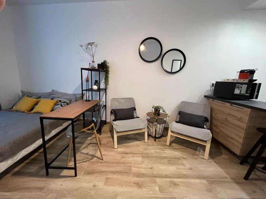 Studio Cosy Rez-De-Chaussee Foix Exterior photo